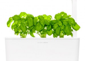 Click&Grow Травы умный горшок